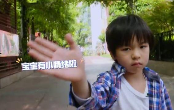 张庭赚钱爆料视频在线观看,揭秘她如何通过视频在线观看赚取巨额财富 第2张 张庭赚钱爆料视频在线观看,揭秘她如何通过视频在线观看赚取巨额财富 第2张